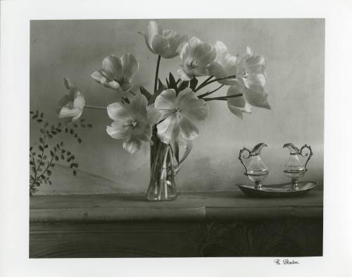 Flowers in Vase with Cruets