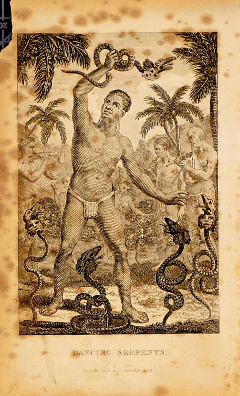 Dancing Serpents