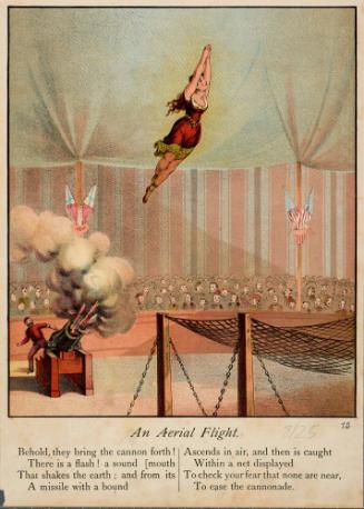 An Aerial Flight