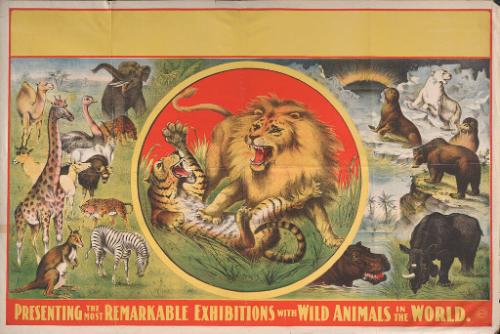 Stock: Animals