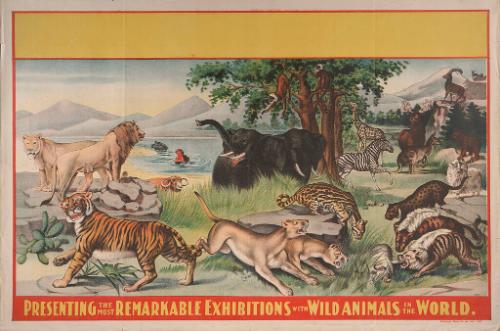 Stock: Animals