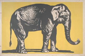 Stock: Elephant