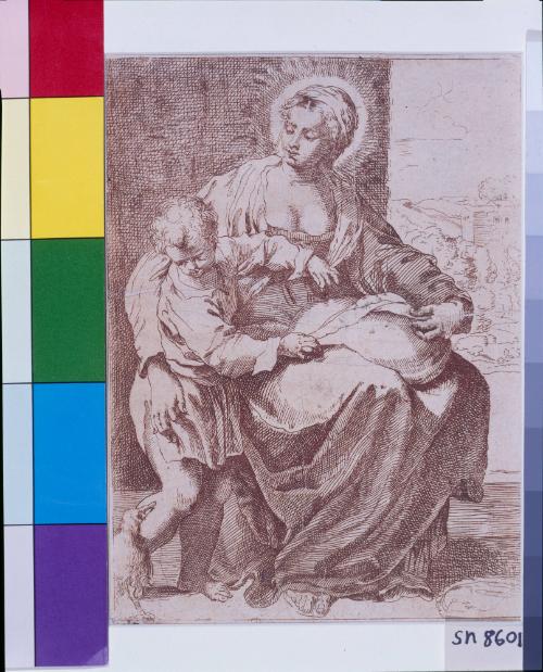 The Virgin with the Crow