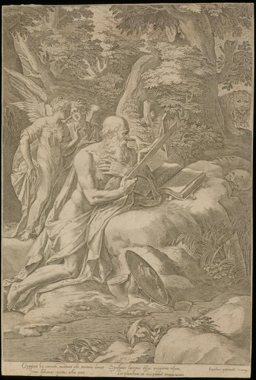 Cornelis Cort
