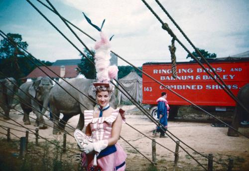 Lady in pink, white & blue costume in front of Elephants