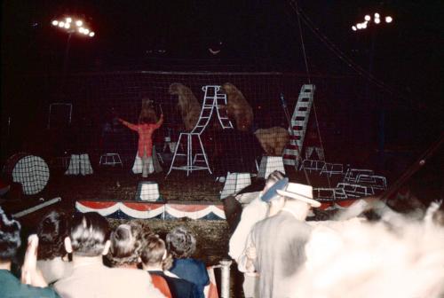 Albert Rix and performer bears