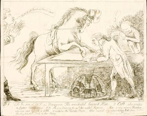 To be seen at Mr. S-n's Menagerie, the wonderful, learned Han-r Colt, who writes a letter blindfolded.