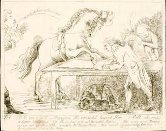 To be seen at Mr. S-n's Menagerie, the wonderful, learned Han-r Colt, who writes a letter blindfolded.