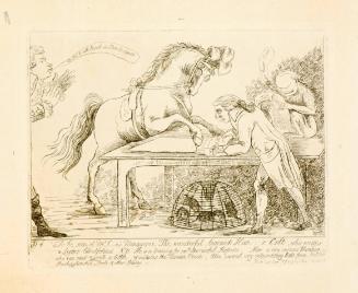 To be seen at Mr. S-n's Menagerie, the wonderful, learned Han-r Colt, who writes a letter blindfolded.
