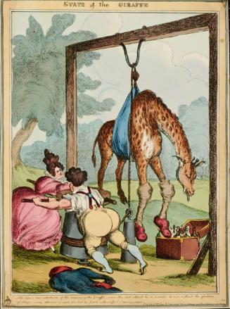 State of the Giraffe