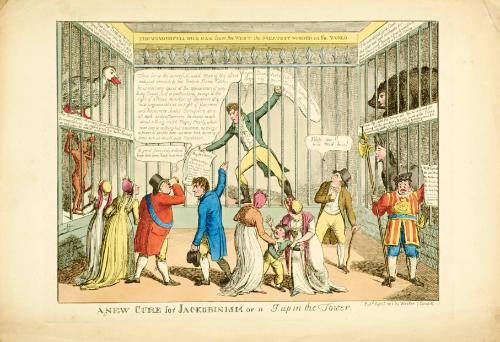 A New Cure for Jackobinism, or a Peep in the Tower