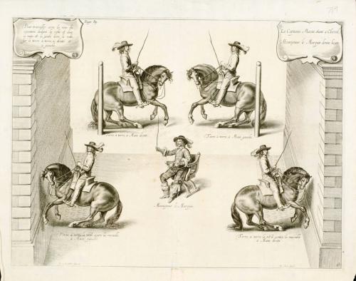Horses training to round posts and walls; from The Marquis of Newcastle's series A General System of Horsemanship