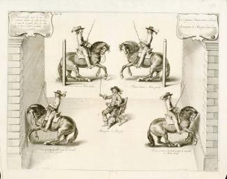 Horses training to round posts and walls; from The Marquis of Newcastle's series A General System of Horsemanship