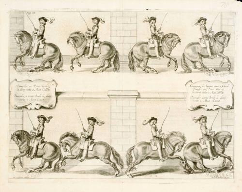 Horses training to gallop in circles; from The Marquis of Newcastle's series A General System of Horsemanship