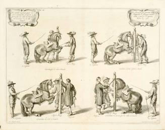 Horses trained to circle posts; from The Marquis of Newcastle's series A General System of Horsemanship