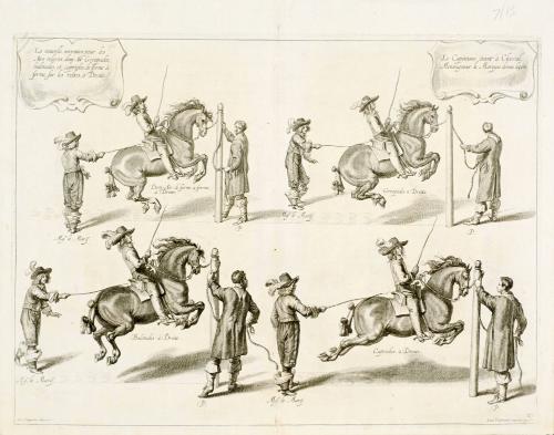 Horses training to jump; from The Marquis of Newcastle's series A General System of Horsemanship