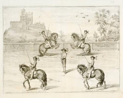 Horses turning in circles, outdoor scene; from The Marquis of Newcastle's series A General System of Horsemanship