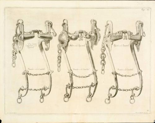 Equestrian bits; from The Marquis of Newcastle's series A General System of Horsemanship