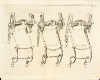 Equestrian bits; from The Marquis of Newcastle's series A General System of Horsemanship