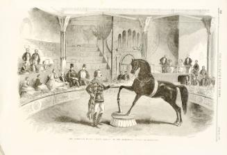The American Horse "Black Eagle" at the Alhambra Palace from The Illustrated London News