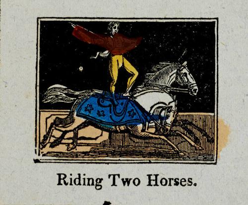 Riding Two Horses