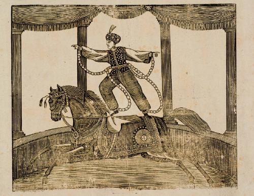 Male equestrian acrobatic performer