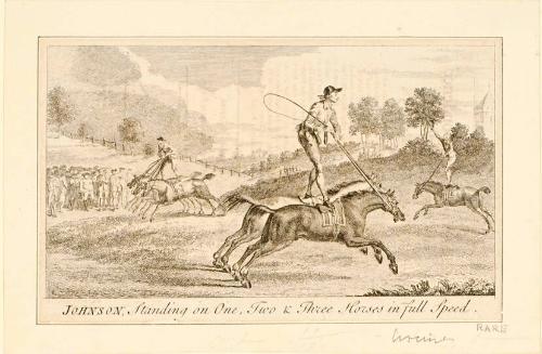 Johnson, Standing on One, Two, & Three Horses in Full Speed