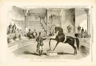 Illustrated page from the Illustrated London News featuring The American Horse ' Black Eage' at the Alhambra Palace