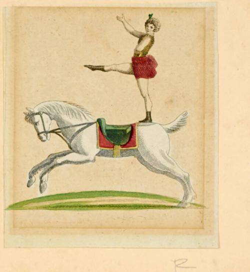 Performer balancing on the back of a horse.