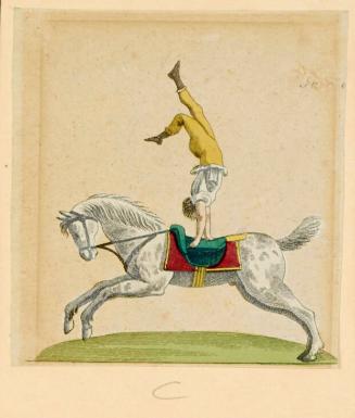 Performer doing handstand on the back of a horse.