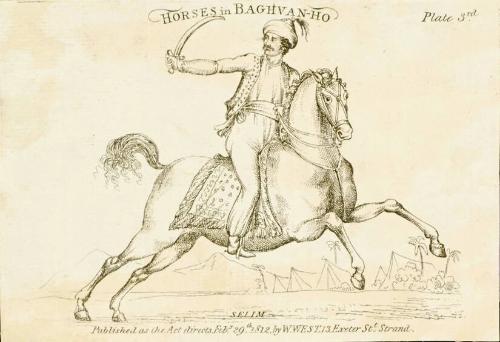 Horses in Baghvan-ho