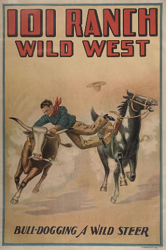 101 Ranch Wild West: Bull Dogging A Wild Steer