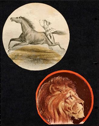 Scrapbook page with two round lithographs, one of a lion, one of a female equestrian act