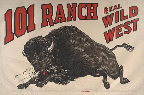 101 Ranch Wild West: Bison