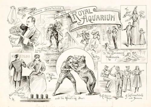 Some Sketches at the Royal Aquarium