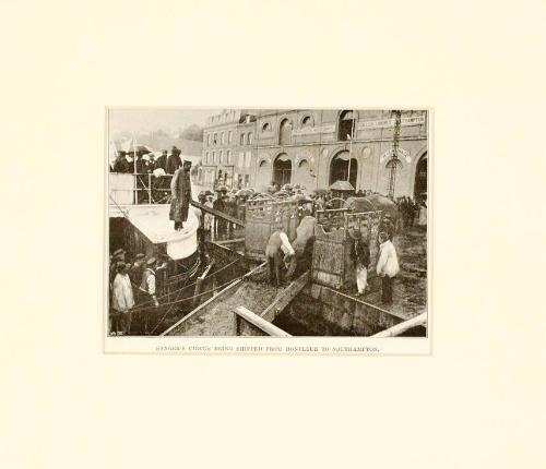 Sanger's Circus Being Shipped from Honfleur to Southampton