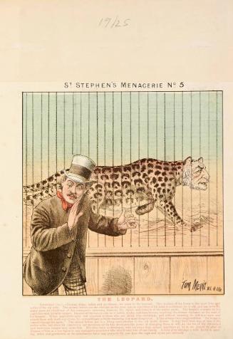 St. Stephen's Menagerie No. 5 : The Leopard