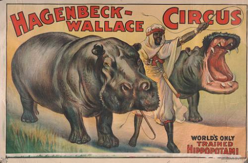 Hagenbeck-Wallace: World's Only Trained Hippopotami