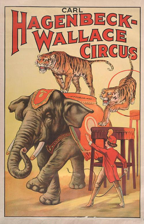 Hagenbeck-Wallace: Tigers Ride Elephant