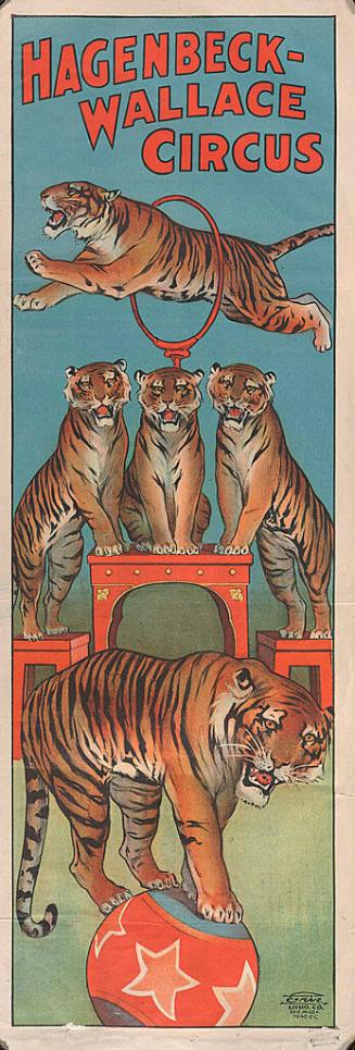 Hagenbeck-Wallace: Tigers