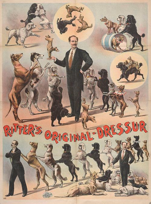 Ritter's Original Dressur