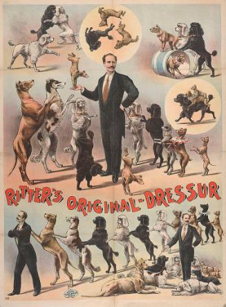 Ritter's Original Dressur