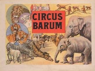 Circus Barum: Animals