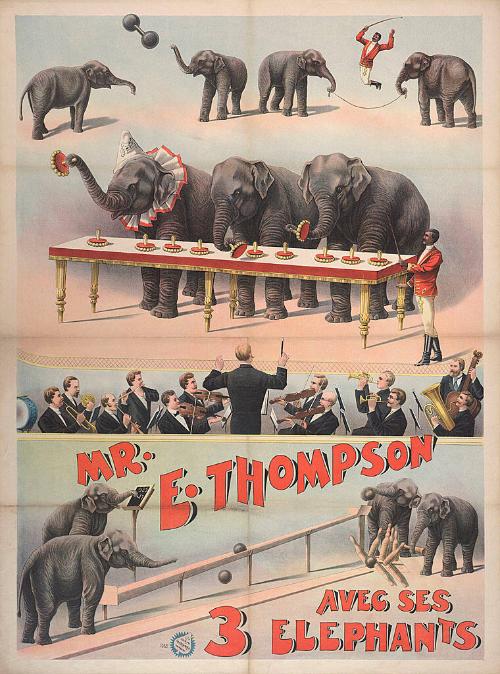Mr. E. Thompson