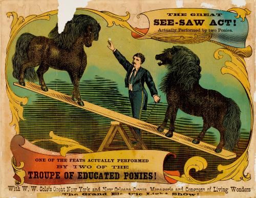 W.W. Cole: The Great See Saw Act! Actually Performed by Two Ponies