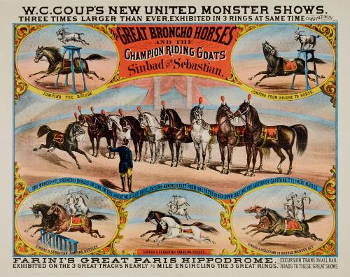 W.C. Coup: Great Bronco Horses