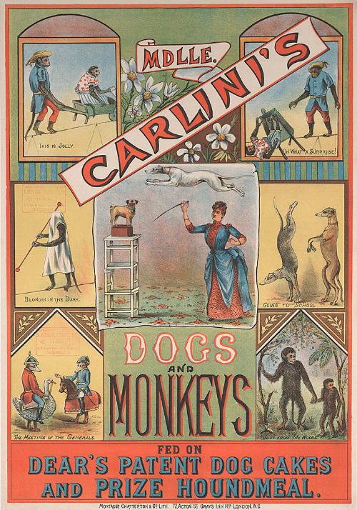Mademoiselle Carlini's Dogs and Monkeys