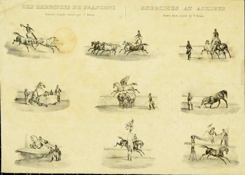 Les Exercices de Franconi / Exercices at Ashleys