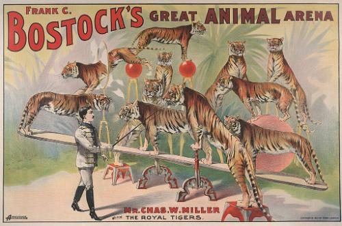 Frank Bostock's Great Animal Arena: Charles W. Miller