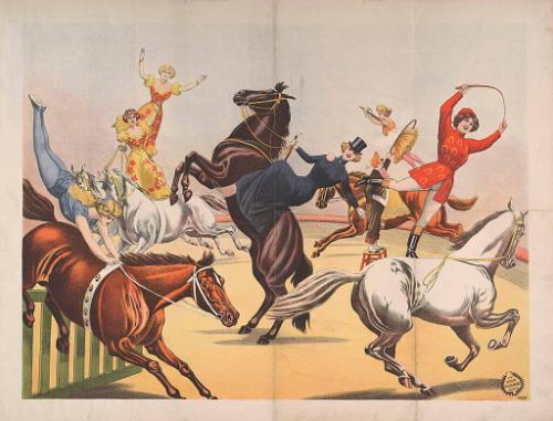 Stock: Bareback Act